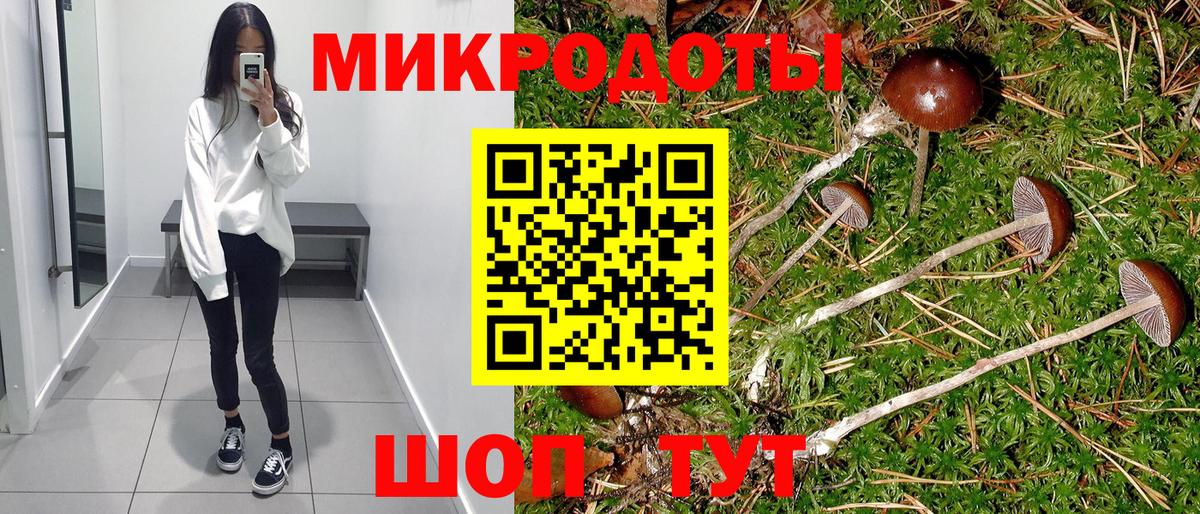 Галлюциногенные грибы Psilocybe  Вход с VPN  Касимов  где найти   Псилоцибиновые грибы MAGIC MUSHROOMS 