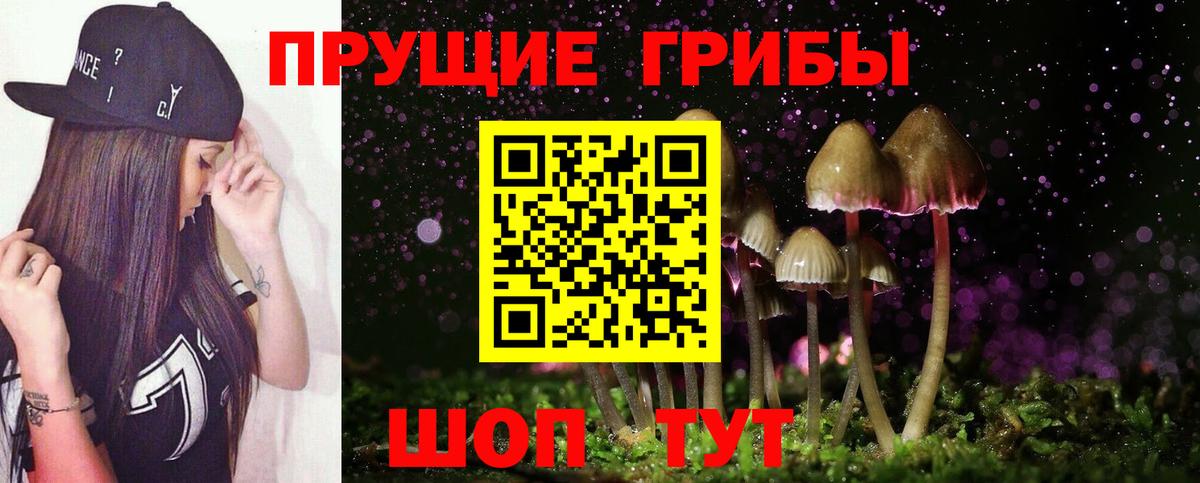 Псилоцибиновые грибы Cubensis Касимов